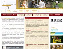 Tablet Screenshot of fundaciodrissa.com